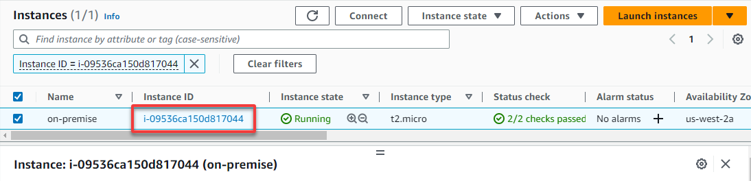 Accessing the instance details page