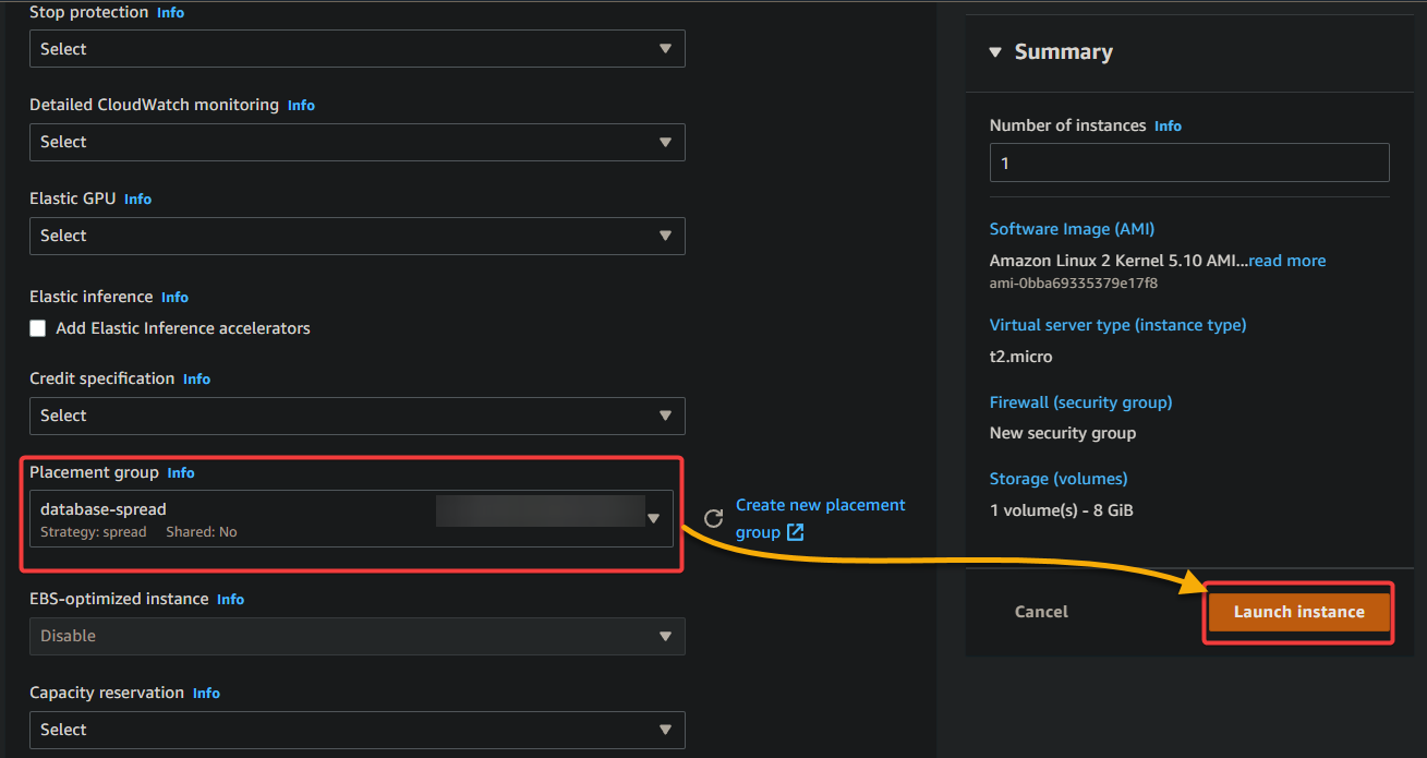 Selecting a placement group and launching an instance