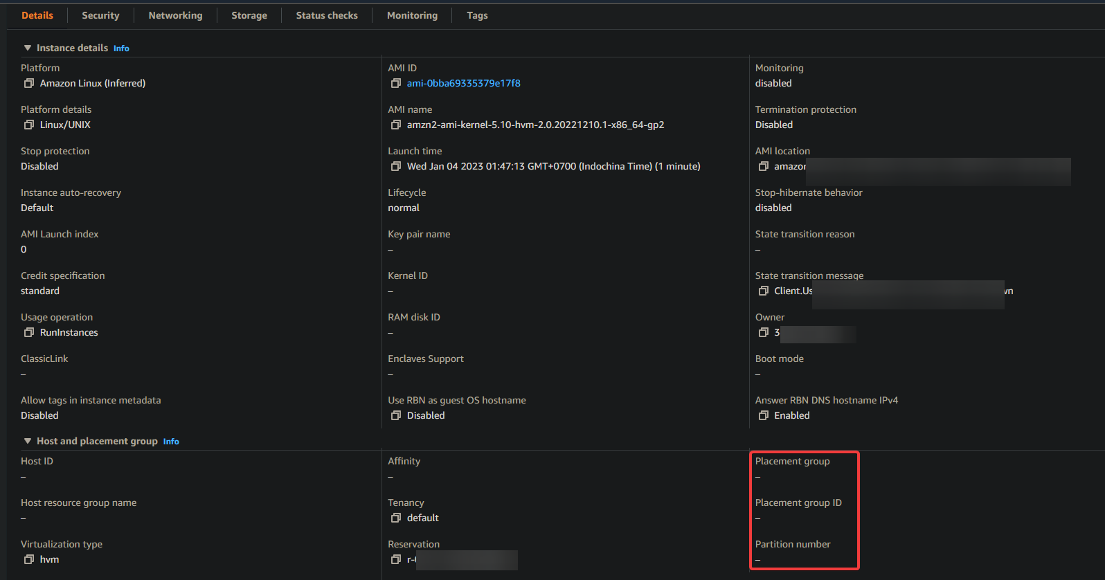 Verifying the instance is removed from the placement group