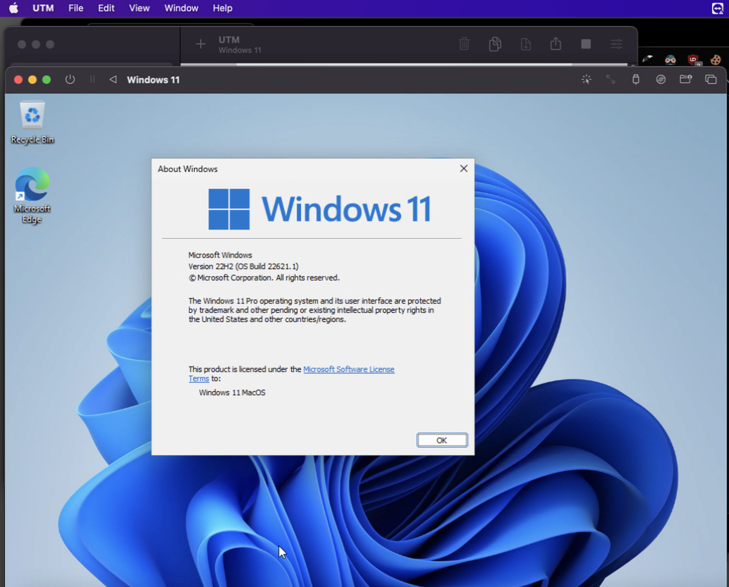 Viewing the newly-installed Windows 11 VM on Mac