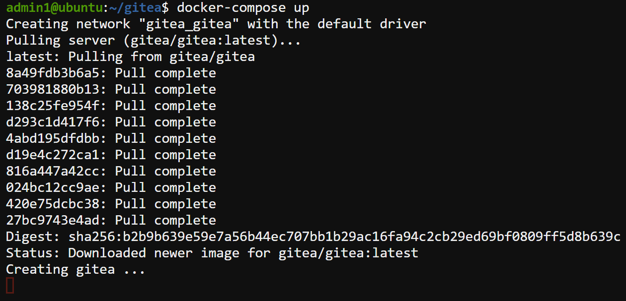 Running the Gitea Docker container