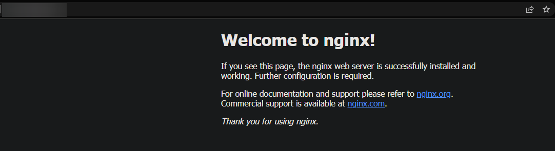 Verifying that NGINX is running properly