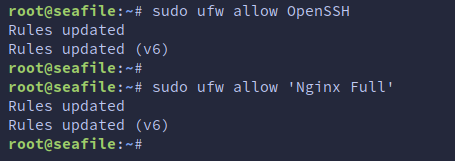 Allowing OpenSSH and NGINX in the UFW firewall