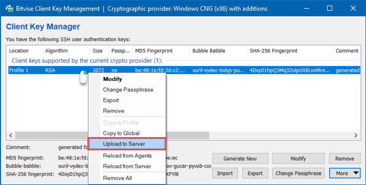 Uploading the public key to the SSH server