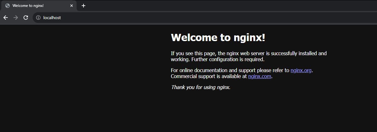 Accessing the localhost (via http) using the NGINX service