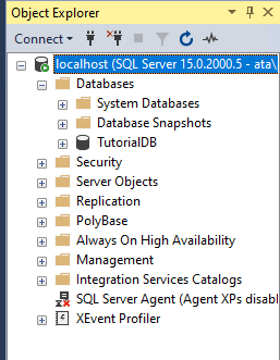 SQL Server Management Studio: Database Server Connection Verification