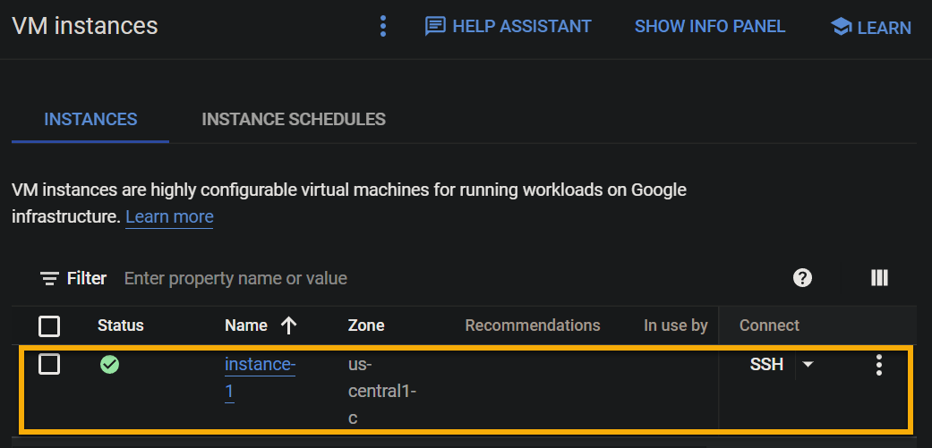 Verifying the newly-created instance