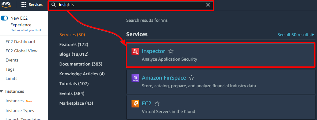 Accessing the AWS Inspector Overview Page