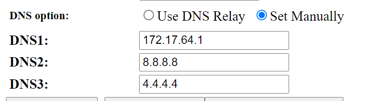Manually setting a router DNS settings.