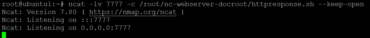 Starting the Ncat Server