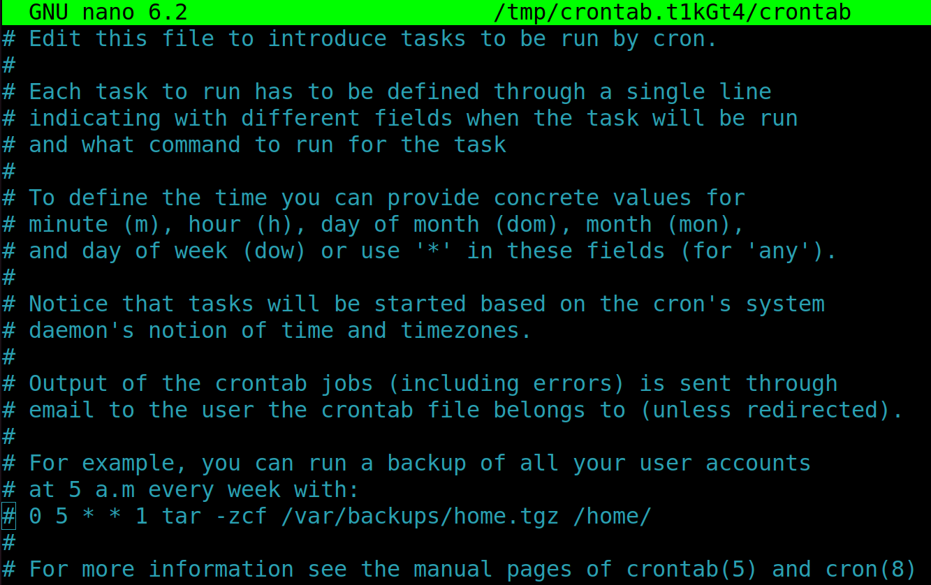 Accessing the crontab file