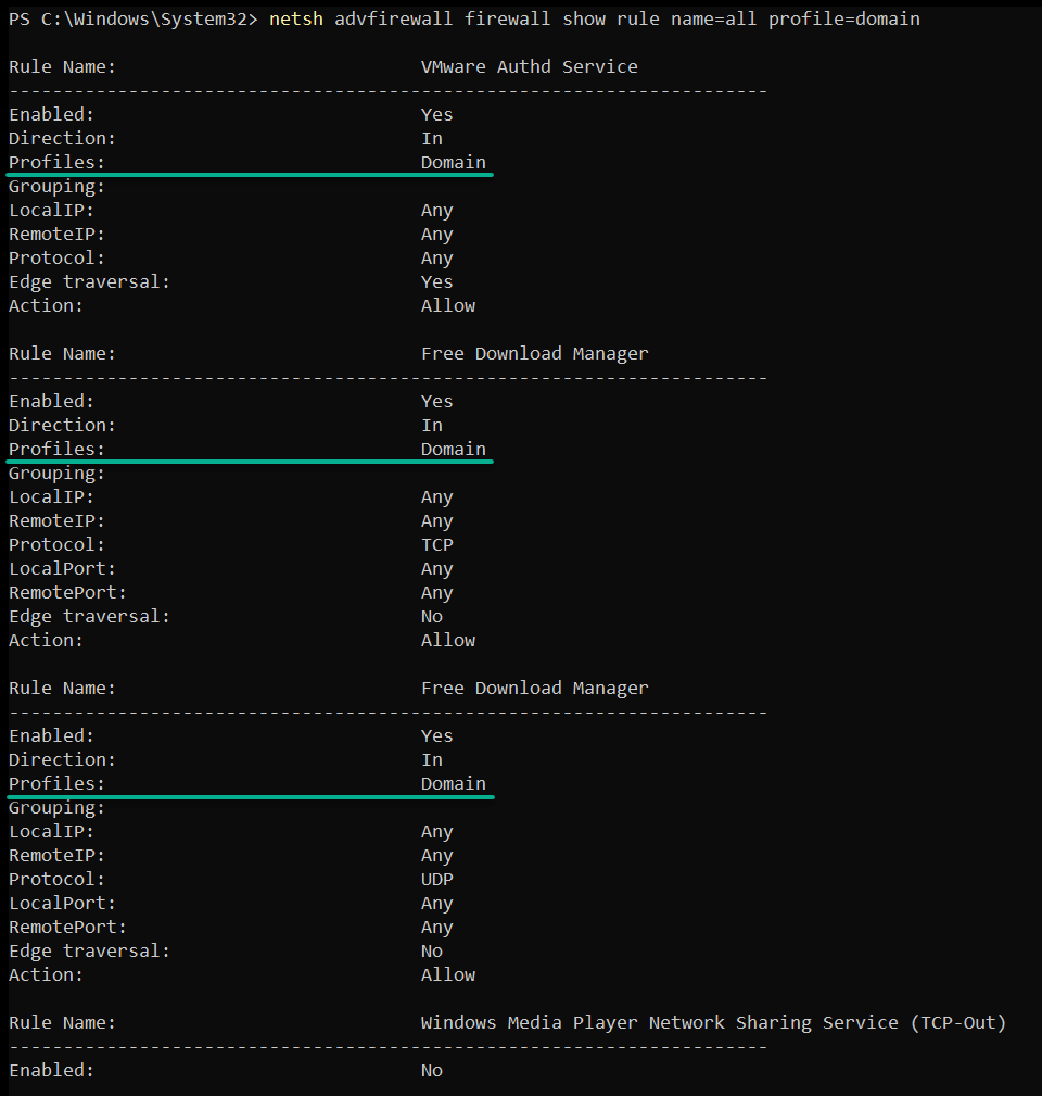 Listing firewall rules in domain profiles