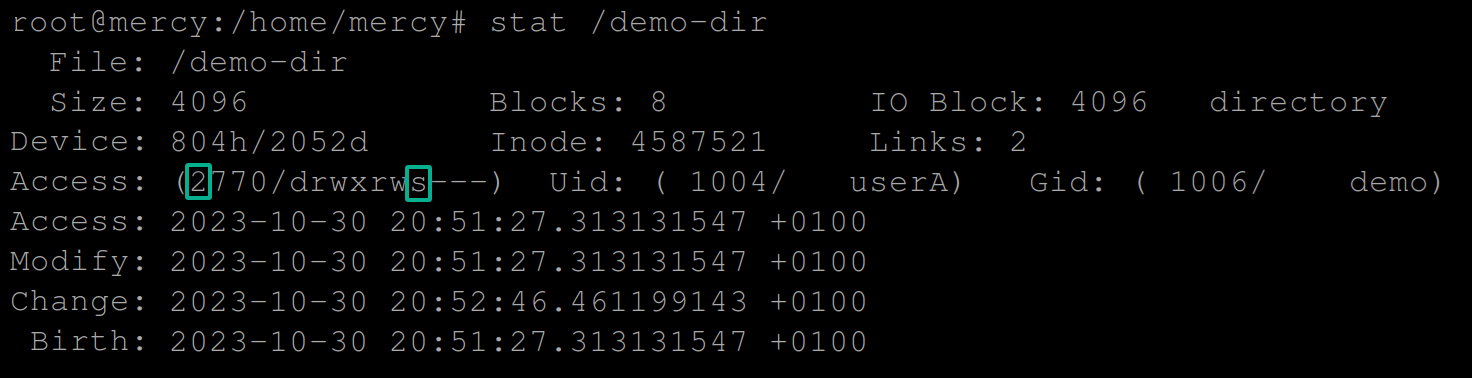 Verifying the SGID bit set to the /demo-dir directory