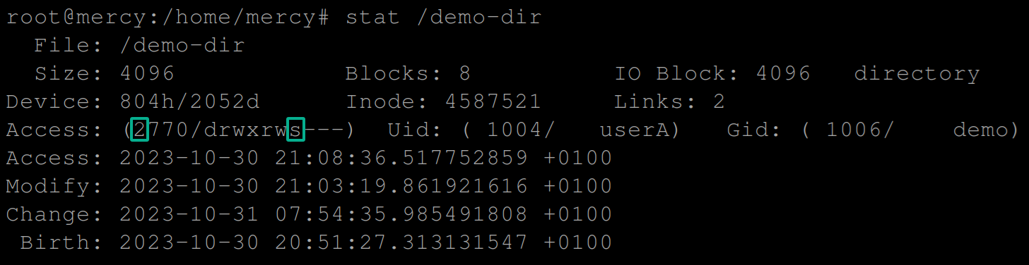 Verifying the SGID is set to the /demo-dir directory