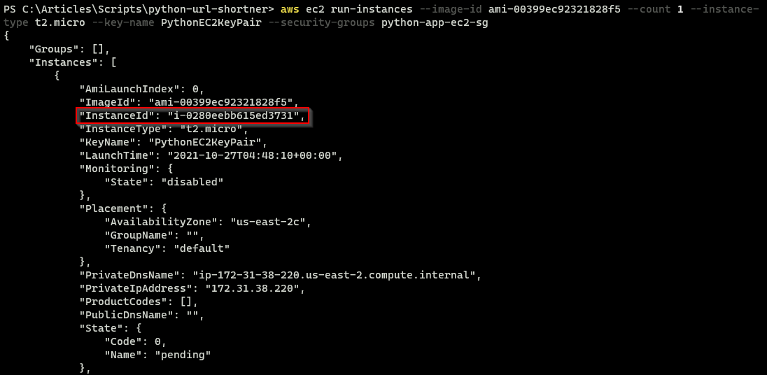 Retrieving the instance ID for the EC2 instance