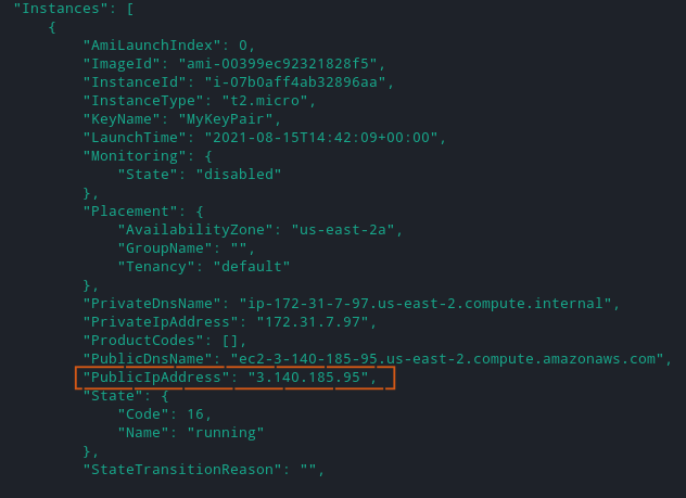 Viewing the PublicIpAddress for EC2 instance