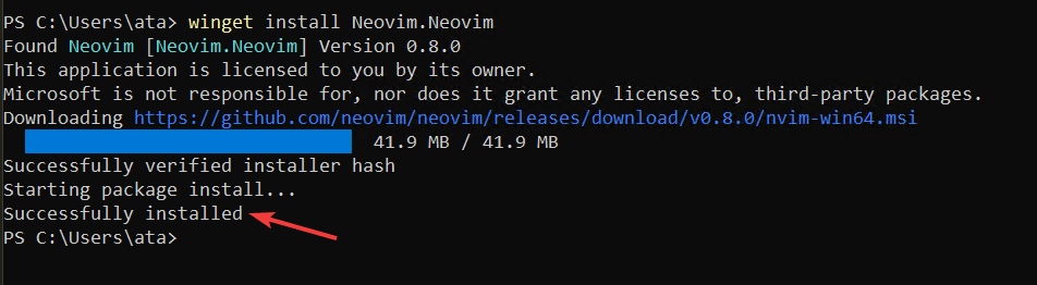 Verify the Nvim installation