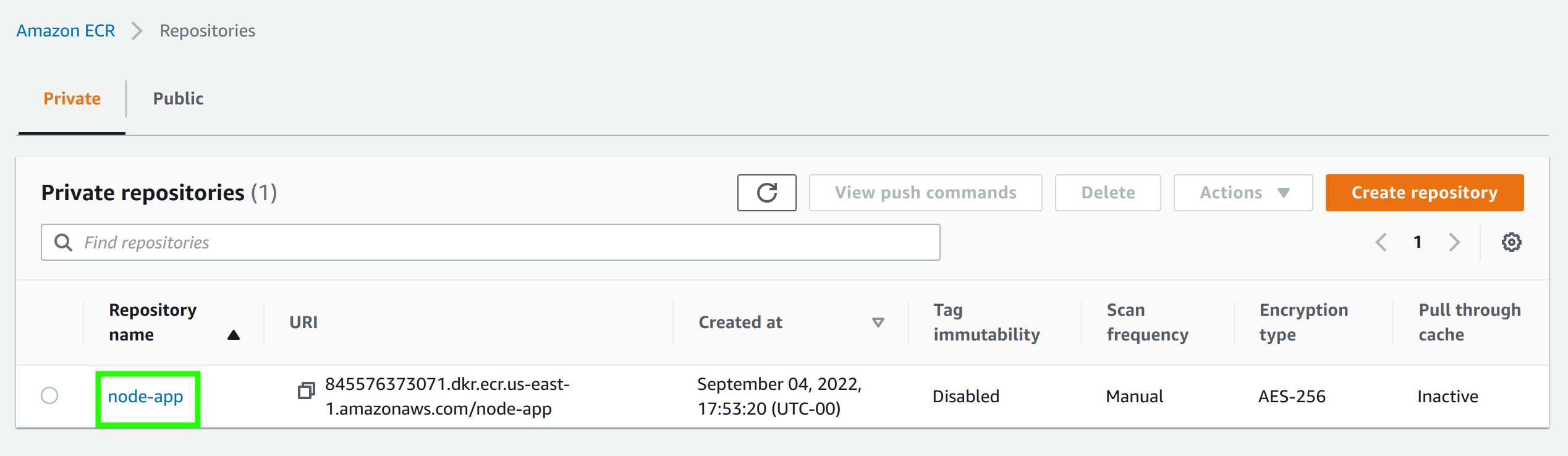 Accessing the repository in AWS ECR