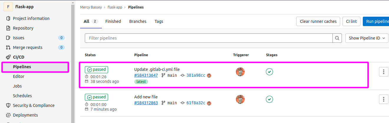 Viewing pipelines