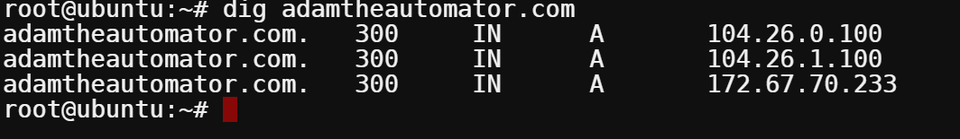 Controlling DiG’s behavior using the ~/.digrc File