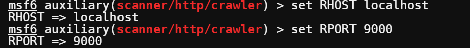 Setting the RHOST and RPORT parameters.