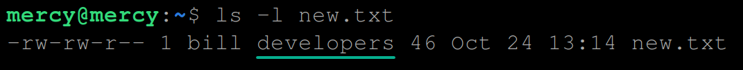 Viewing the new group ownership of the new.txt file