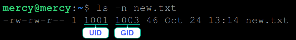 Viewing the UID and GID associated with the new.txt file