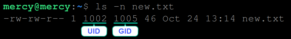 Verifying the new UID and GID for the new.txt file