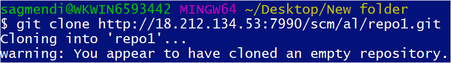 Cloning the repository