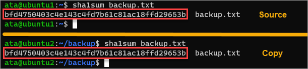 Comparing the file checksum