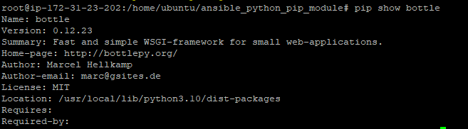 Verifying the Python-pip bottle module