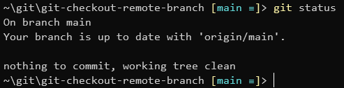 git checkout remote branch - Checking a repositories status.