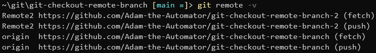 git checkout remote branch - Viewing verbose details about repo remotes.