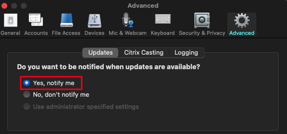 Notify on updates option