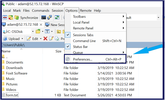 Opening the WinSCP Preferences menu
