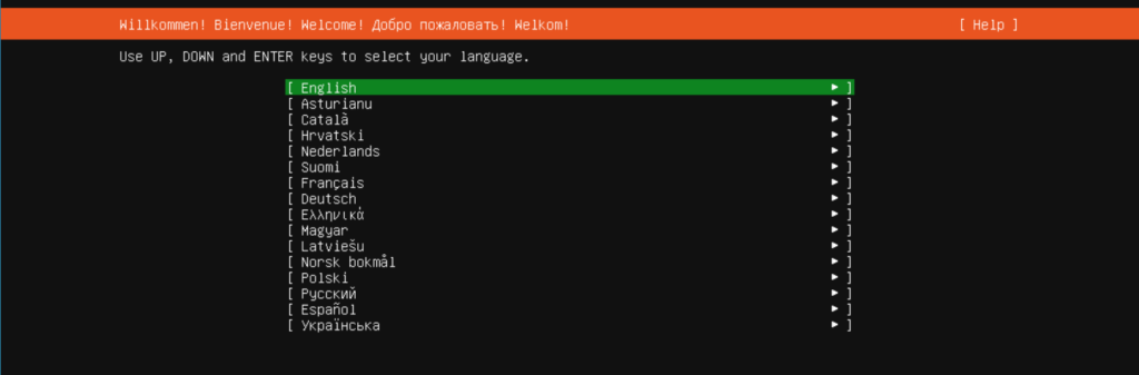 Ubuntu Server 20.04 Installation Screen - Choose Language