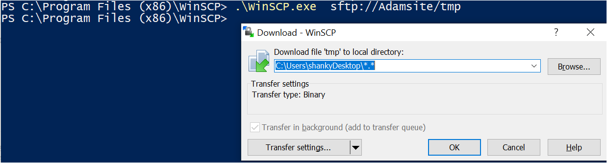 WinSCP command line: Downloading Files Using a Site