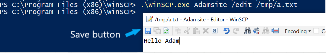 WinSCP command line: Editing Remote Files Using a Site