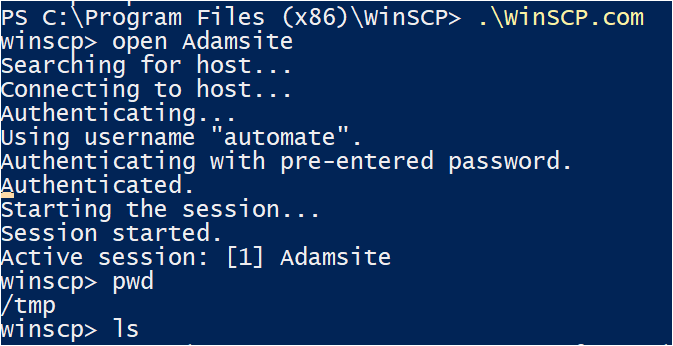 WinSCP command line: Interactively Running Commands using winscp.com