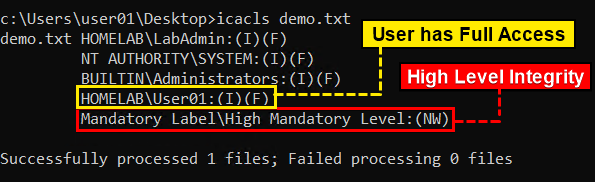 Verifying File's Integrity Level