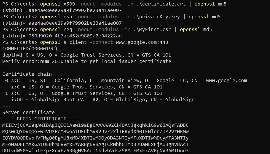 Sample troubleshooting command output with OpenSSL in PowerShell